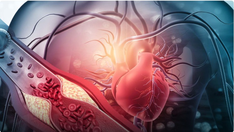 vascular surgery hospital in jayanagar