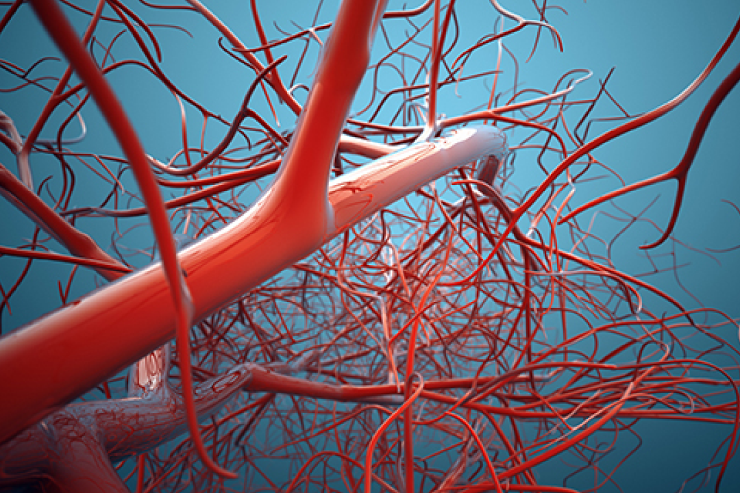 Best Vascular Surgeons in Jayanagar