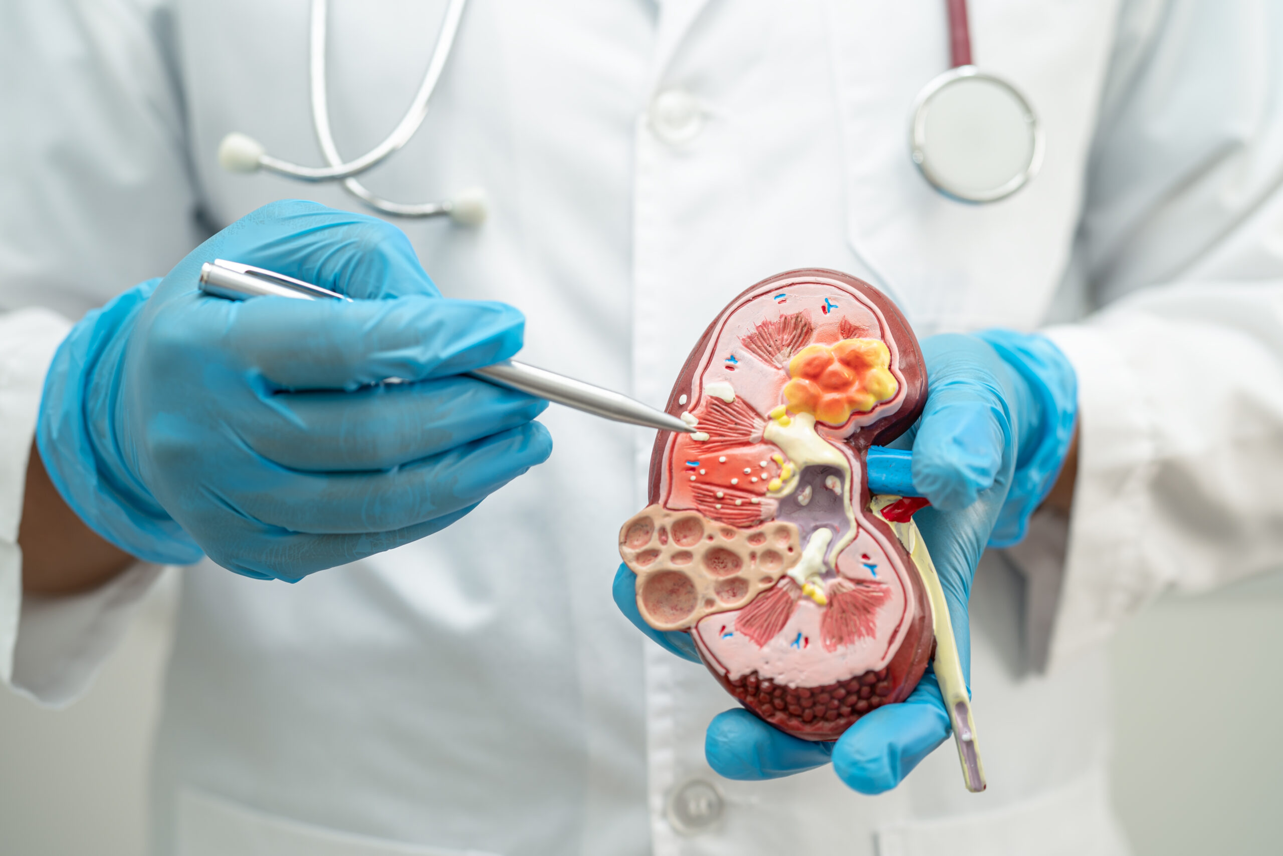 Best Nephrologists In Banashankari, Bangalore